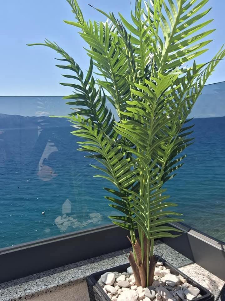 Apartments Nina Brist Εξωτερικό φωτογραφία